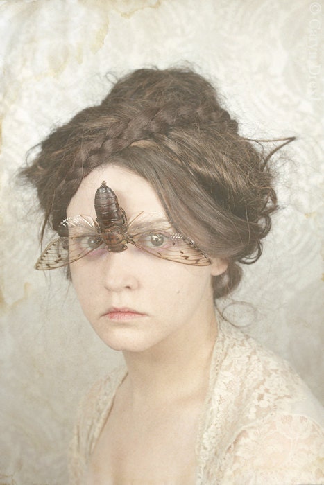 Limited Edition - 1of 25 - 12x18 You Don't Sing To Me Anymore - FREE SHIPPING Cicada Girl Face Portrait Cream Lace