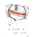 He Blinded Me With Bacon Print