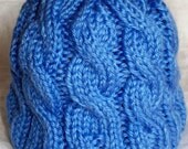 Hand Knit Hat Toddler - Soft and Warm with Blueberry Cables for boy or girl