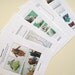 friend Kitty pdf Pattern Tutorial