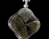 Genuine 4-leafed Clover Pendant