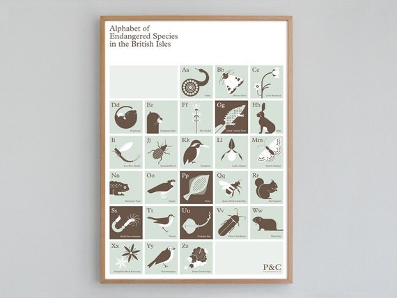 Alphabet of Endangered Species in the British Isles