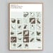 Alphabet of Endangered Species in the British Isles