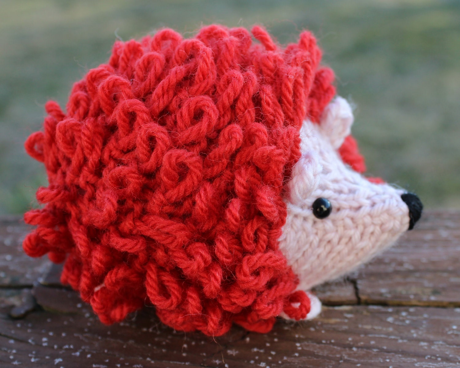 Little valentine hedgehog