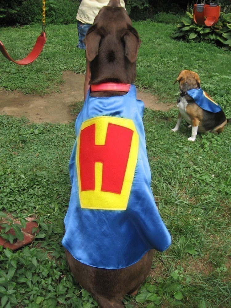 Superhero Pet Capes Custom Initial Dog Cat
