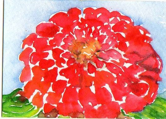 Zinnia Painting, ACEO Original Red