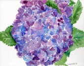 Hydrangeas Watercolor, Blue and Purple blooms, original painting