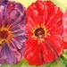 Zinnias Painting - ZINNIA watercolor Original