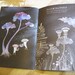 Mushroom Folk art book