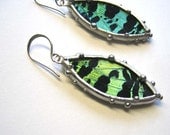 Earrings Real Sunset Moth Petal