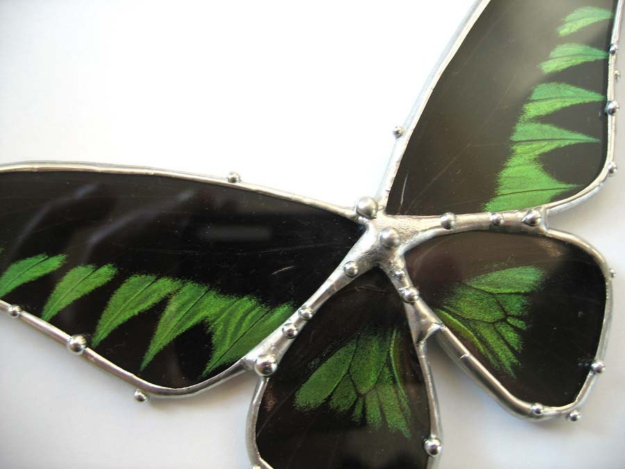 Birdwing Butterfly Necklace