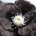 Gray Poppy Brooch\/Pin. Hand Felted