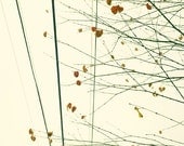 I Found You 6x6 Original Photograph - Fine Art Photography by Patrick Andrew Adams - APTRICK