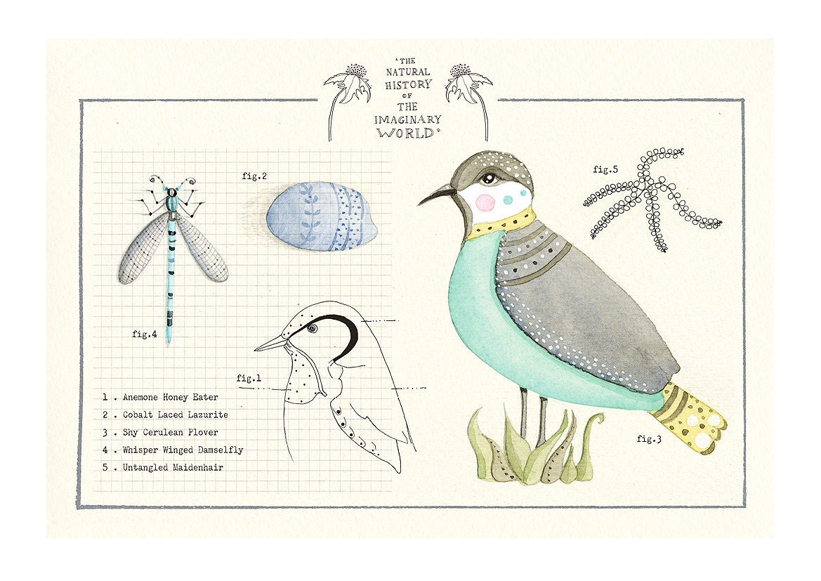 The Natural History of the Imaginary World 001