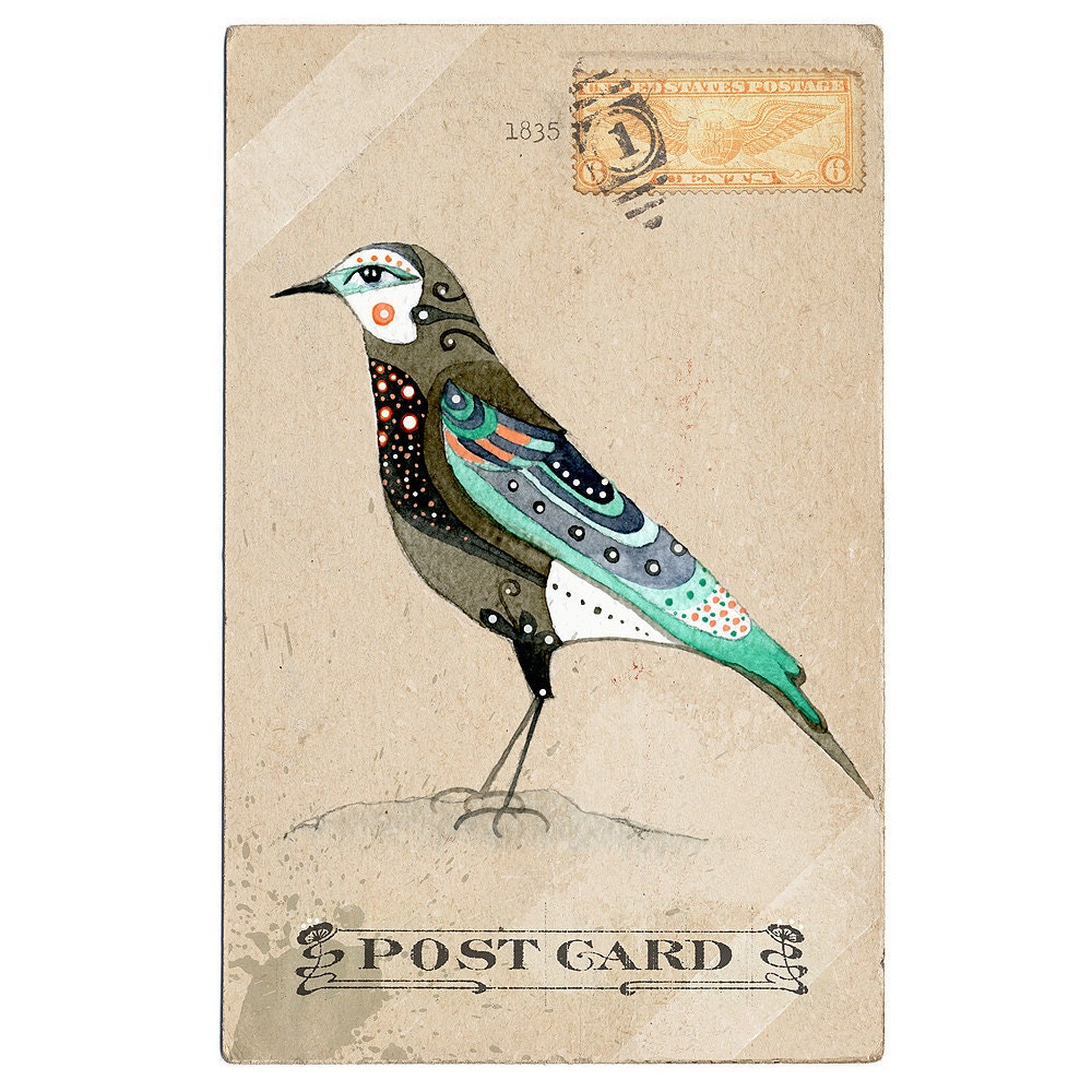 Ornithological Studies (Set of 2 art prints)