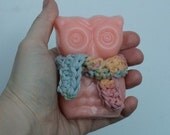 Pink Grapefruit Owl Soap with Crocheted Scarf