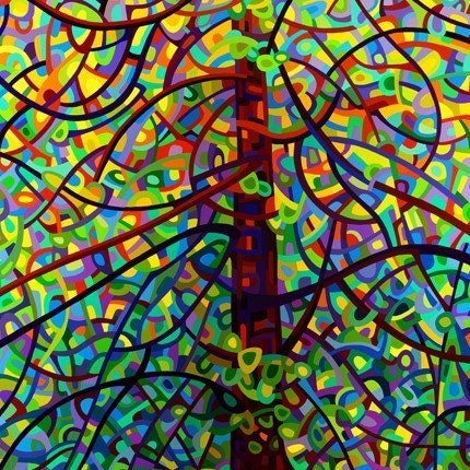 Abstract Fine Art Print - Kaleidoscope 13x19