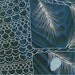 Lacebark Pine Tree - 5x7 Blue Art Print