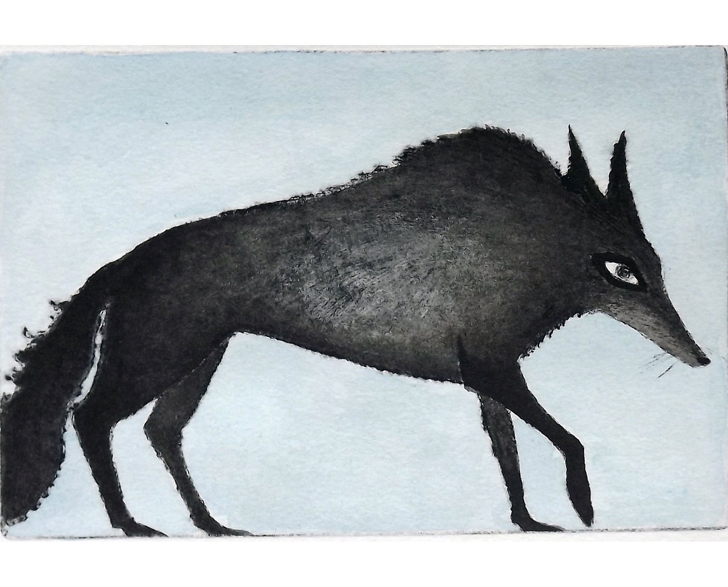 Inky Wolf (hand colored drypoint)