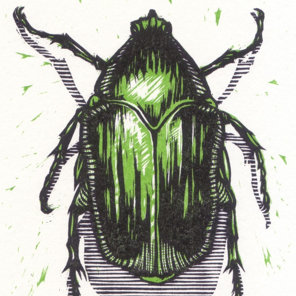 Green June Beetle Notecard Set
