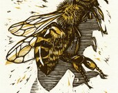 Honeybee Notecard Set
