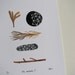 the natadola 5 LAST PRINT