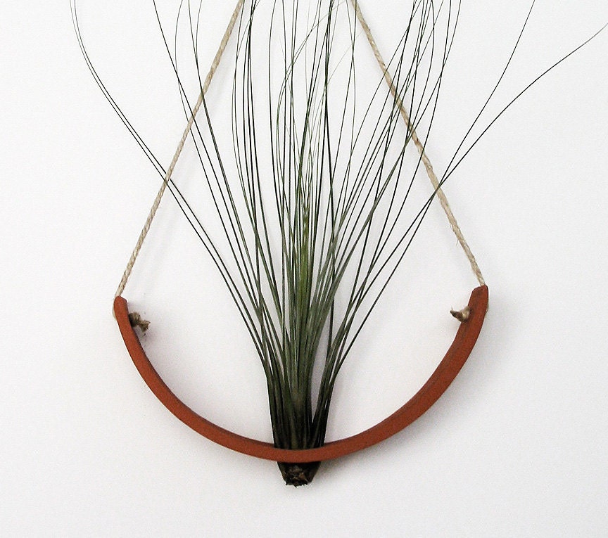 Hanging Air Plant Cradle (tm) - Natural TerraCotta Planter Vase