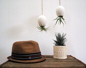 Hanging AirPlant Pod (tm) - Gorgeous Glossy White