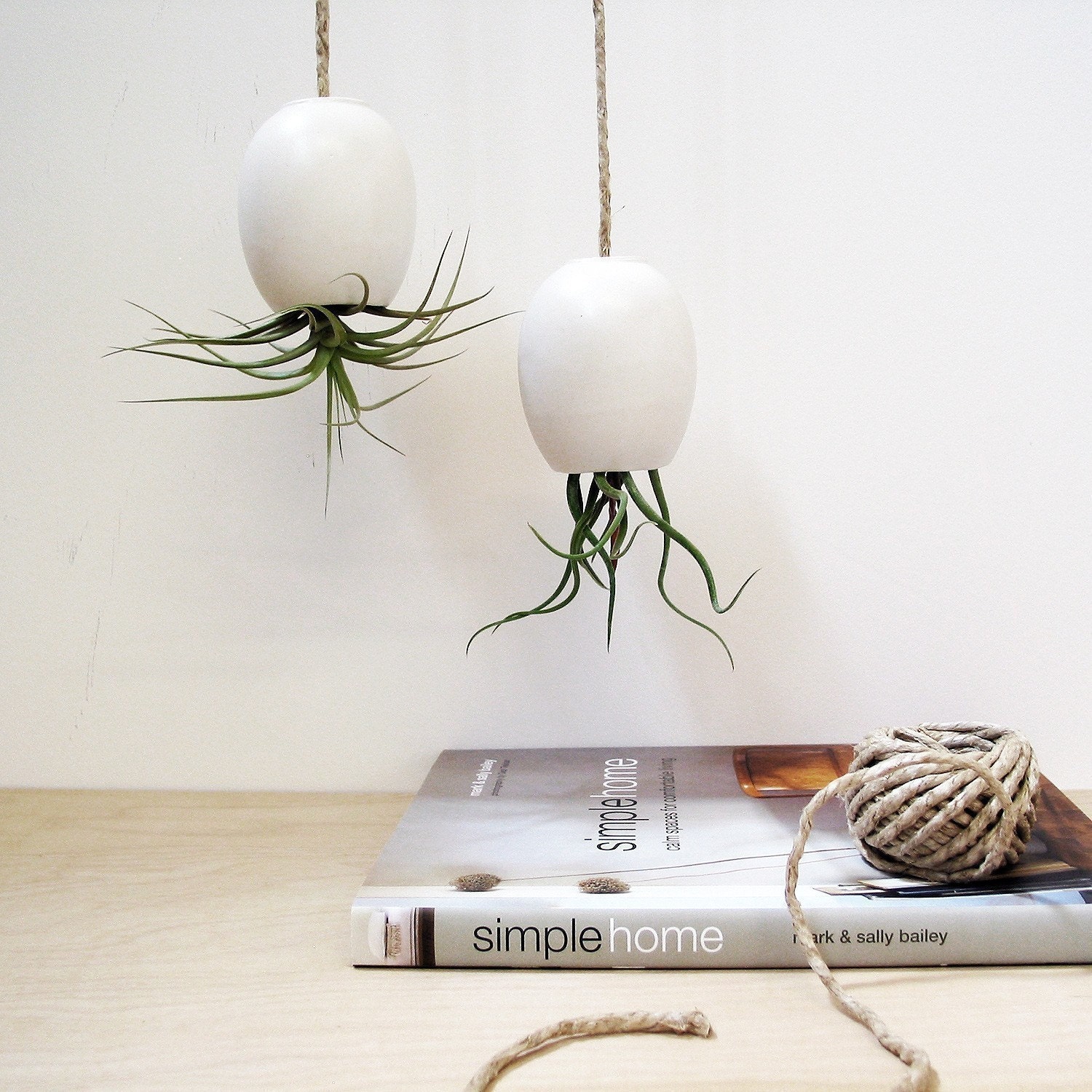 Hanging Air Plant Planter - Silky Matte White by mudpuppy
