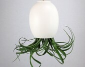 Large Hanging Air Plant Planter - Silky Matte White