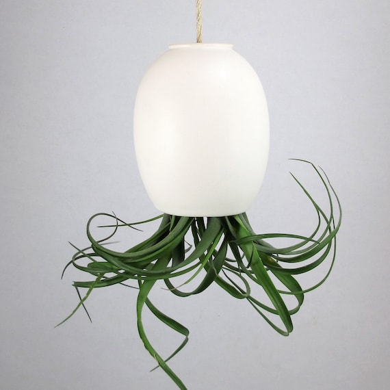LARGE Hanging Air Plant Pod (tm) - Silky Matte White