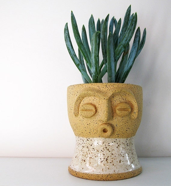Limited edition face planter - perfect for air plant, succulent or cactus