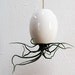 Hanging Air Plant Pod (tm) - Gorgeous White