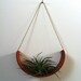 NEW Hanging Air Plant Cradle (tm) - Natural TerraCotta