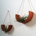 Hanging Air Plant Cradle (tm) - Natural TerraCotta Planter Vase