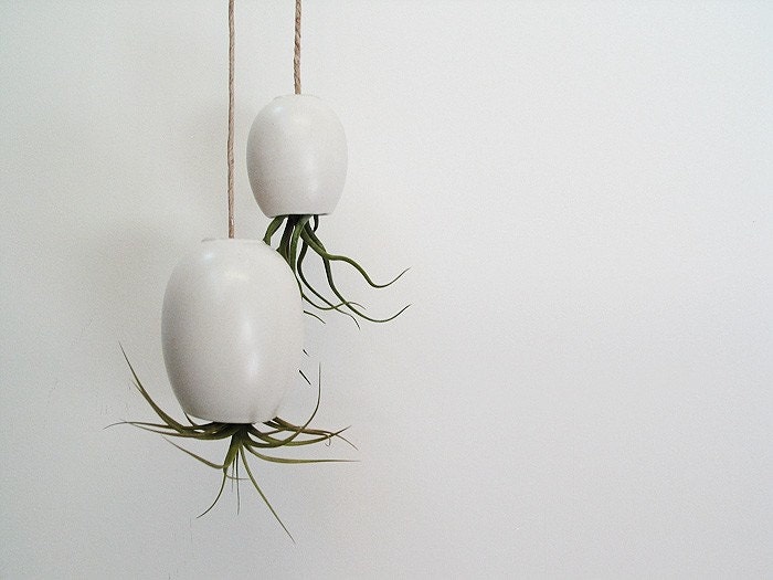 LARGE Hanging Air Plant Pod (tm) - Silky Matte White