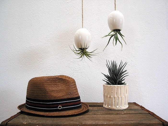 Hanging AirPlant Pod (tm) - Gorgeous Glossy White