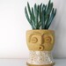 Limited edition face planter - perfect for air plant, succulent or cactus