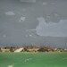 April Rain, Original Landscape Painting on Paper, Canada