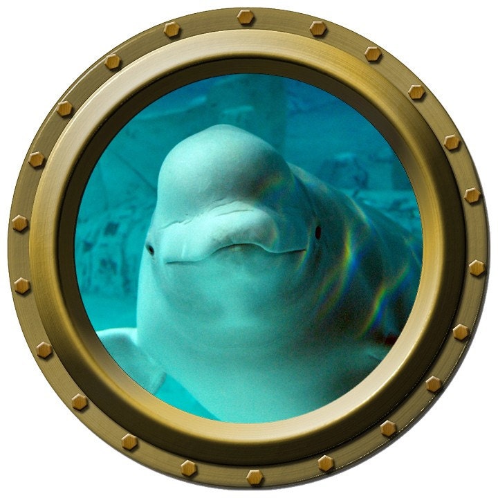 Beluga Whale Design 3 Porthole Wall Decal