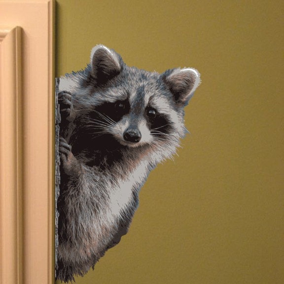 Raccoon Peering Around Wall Vinyl Decal