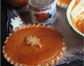 Learn to Make A Miniature Dollhouse Pumpkin Pie Tutorial PDF Lesson