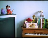 Animals