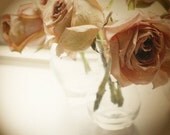 SALE - Roses -- 8x10 print