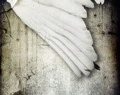 If I had Wings to Fly -- 8x10 print