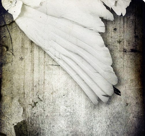 If I had Wings to Fly -- 8x10 print