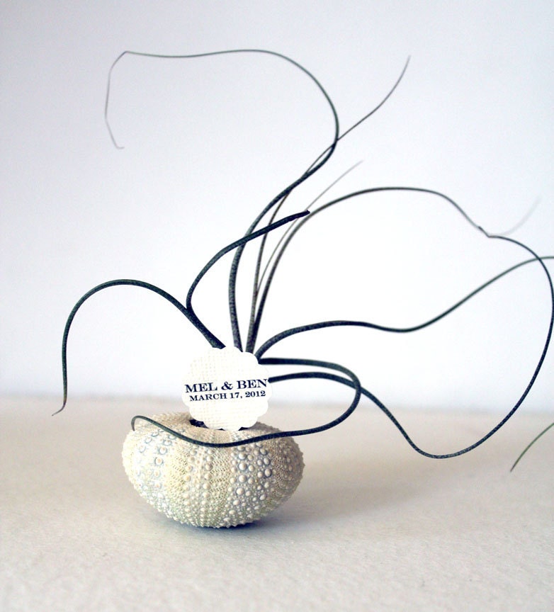 eclectic mix // wedding flag // air plant party favors