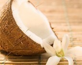 Creamy Coconut Fragrance Oil  2 oz for candle and soap making