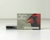 Magtastic Pack of FIVE RECTANGLE MAGNETS