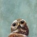 Moments When My Gaze Goes Vacant - 8 x 10 ART PRINT